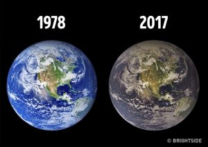 Earth Only Has Till 2030?