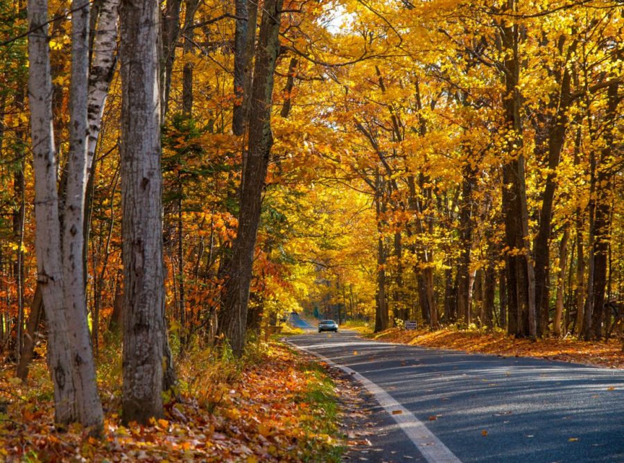 5 Scenic Michigan Road Trips You Need to Take This Fall