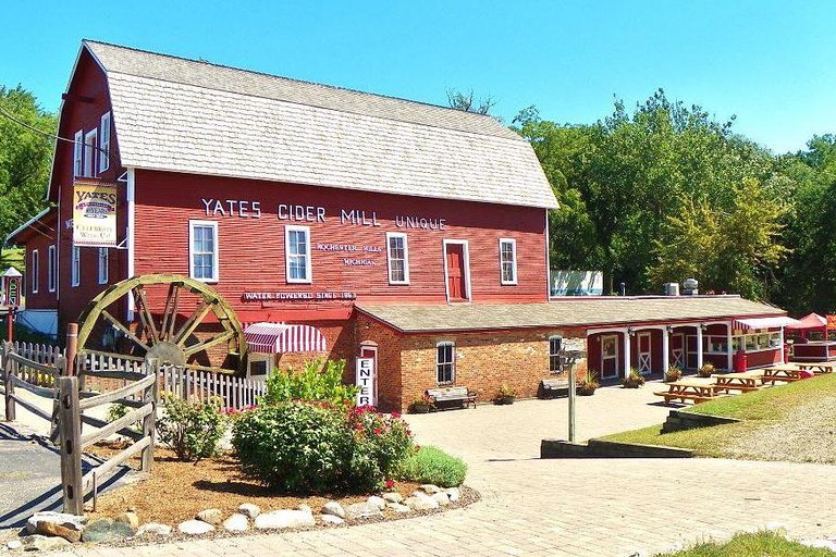 Top 5 Apple Orchards in Michigan The Dakota