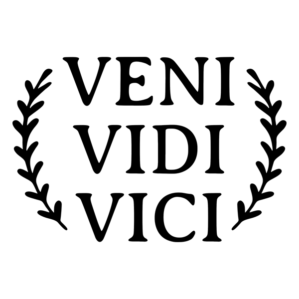 veni. vidi. vici.  Veni vidi vici, Words, New words