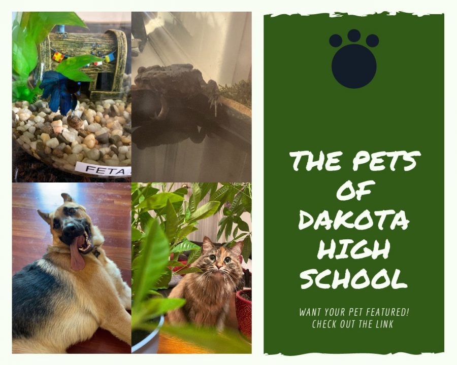 The Pets of Dakota High School