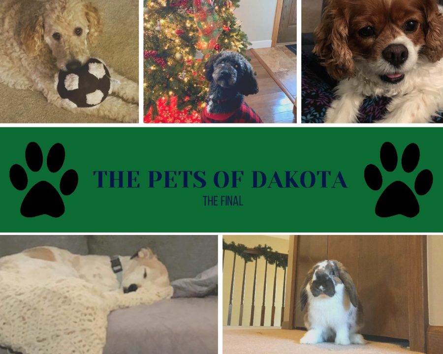 The FINAL Pets of Dakota