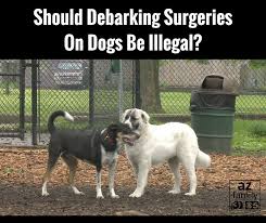 Stop Debarking Dogs