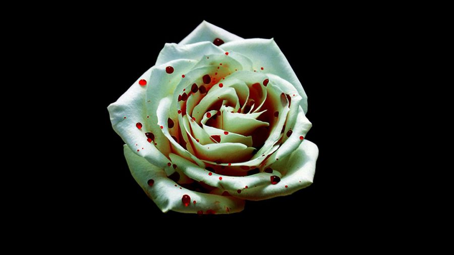 White Roses by AryShallParish