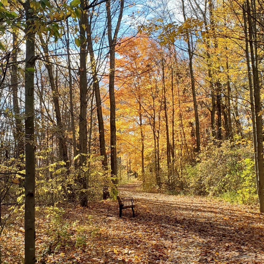 10 Local Activities to Do This Fall