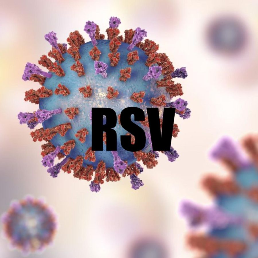 Respiratory+syncytial+virus