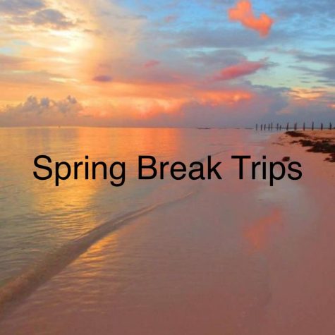 Spring Break Trips