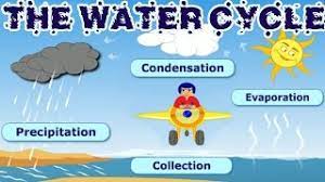 What is Evaporation, Condensation, and Precipitation? Well, teenager meteorologist Zachary Veal explains!!