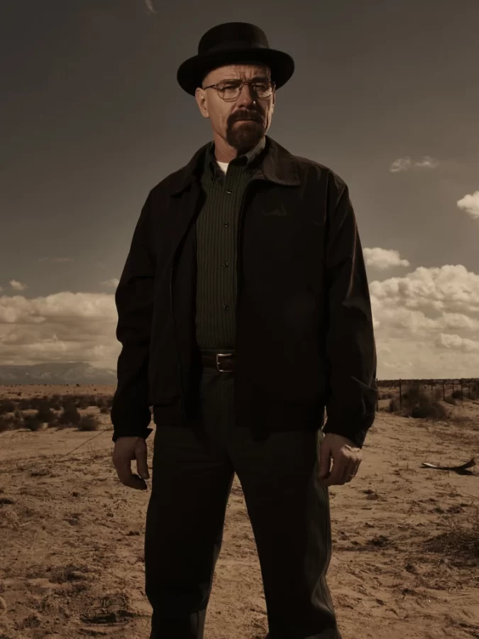 Picture found at: https://www.google.com/url?sa=i&url=https%3A%2F%2Fwww.today.com%2Fpopculture%2Fbreaking-bads-walter-white-how-we-hate-you-root-you-6C10875238&psig=AOvVaw34NAazSjdYa3IfKIh9GdCl&ust=1676047127267000&source=images&cd=vfe&ved=0CBAQjhxqFwoTCKD705_wiP0CFQAAAAAdAAAAABAE