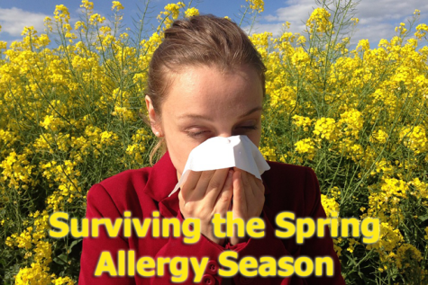 Spring Allergies that you should be aware of this year!!