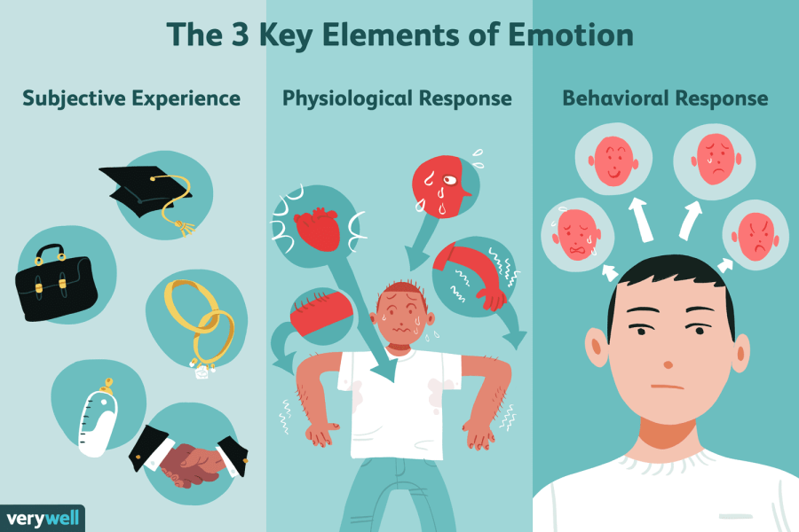 The Science Behind Our Emotions