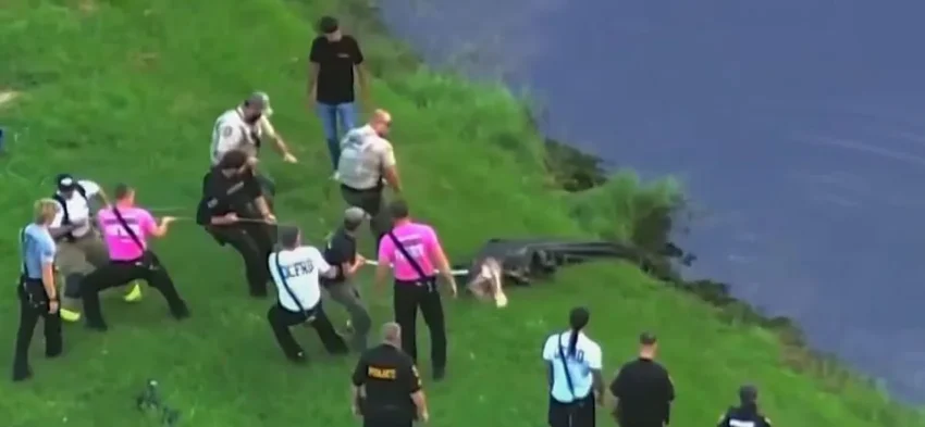A fisherman holding a bass near a lake moments before an alligator attack
